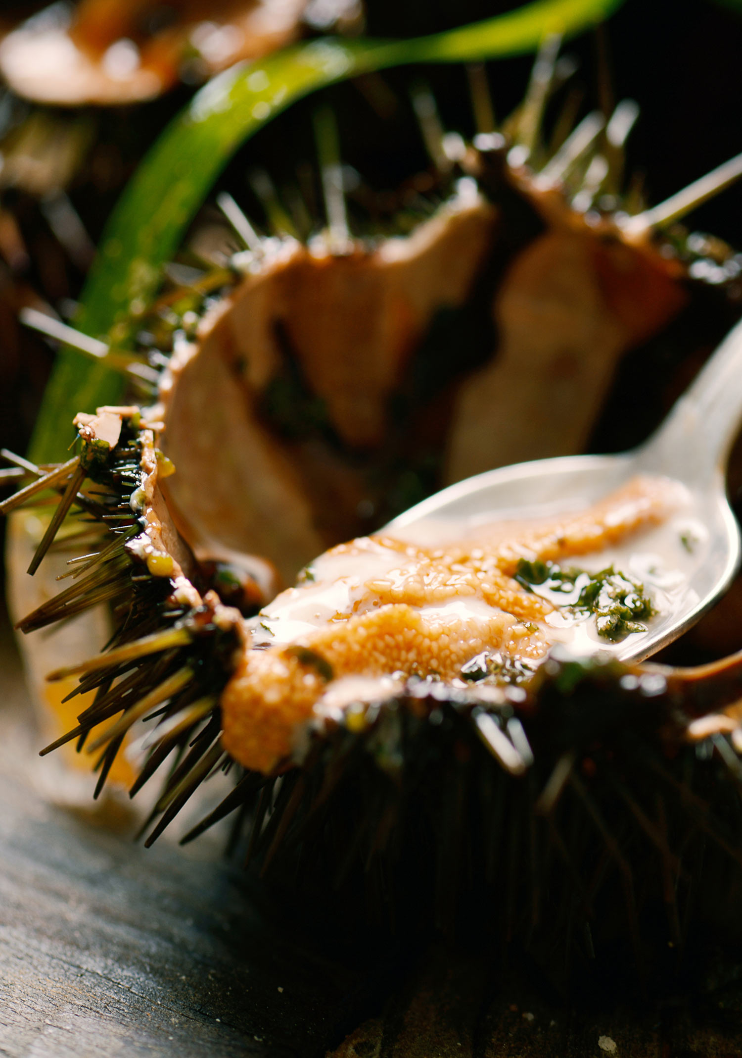 Gastronomy