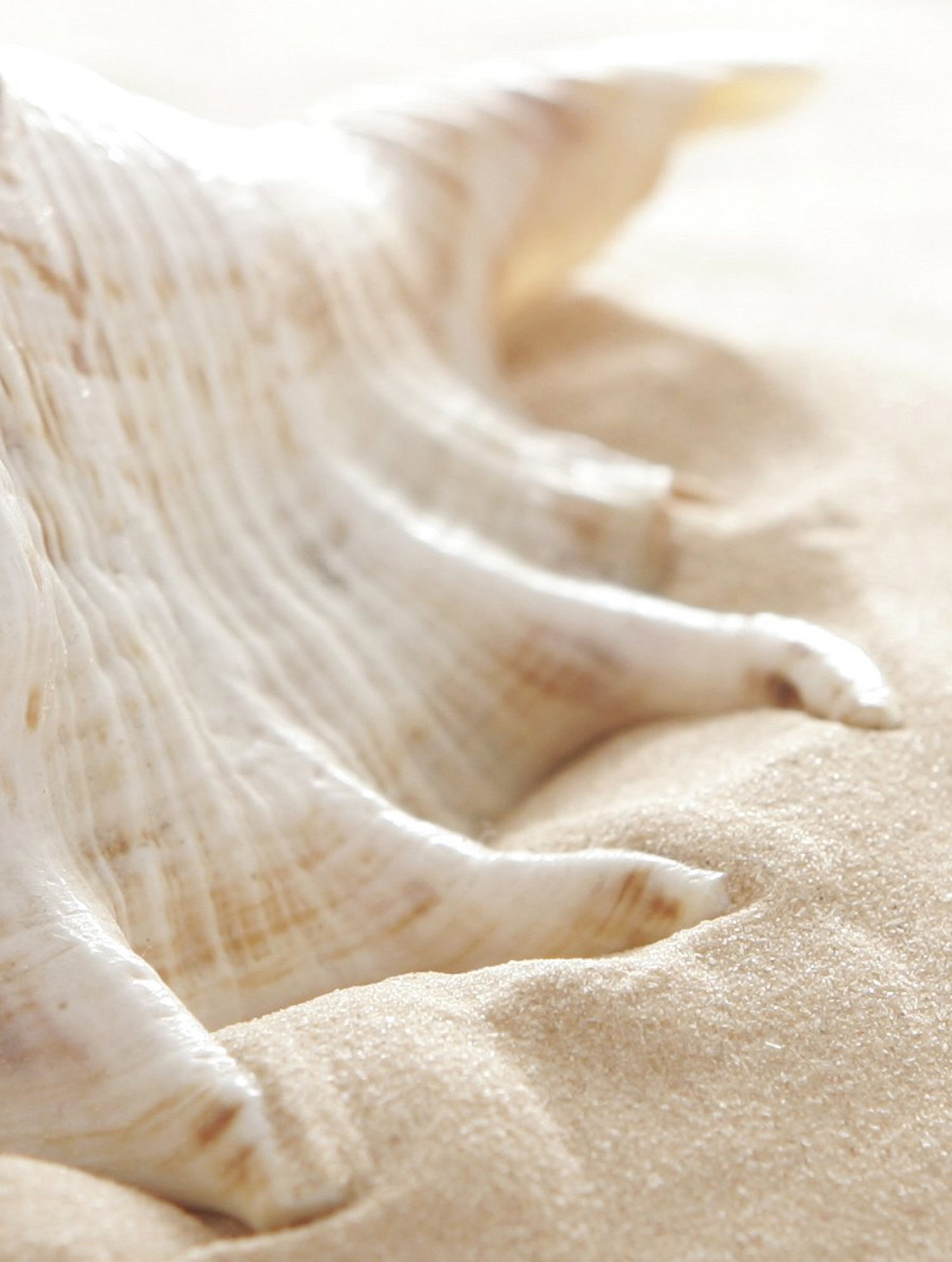 Paraj Restaurant Mykonos - At Super Paradise Beach Mykonos